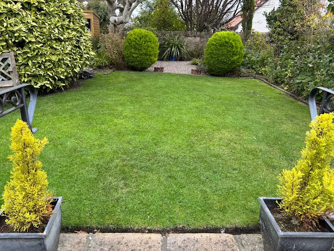 Garden maintenance work in progress