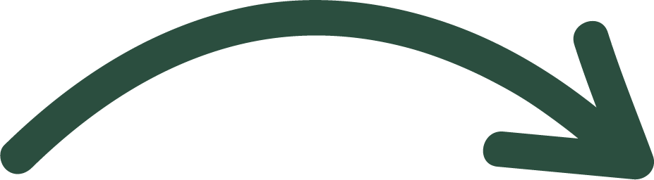 Decorative arrow icon for navigation