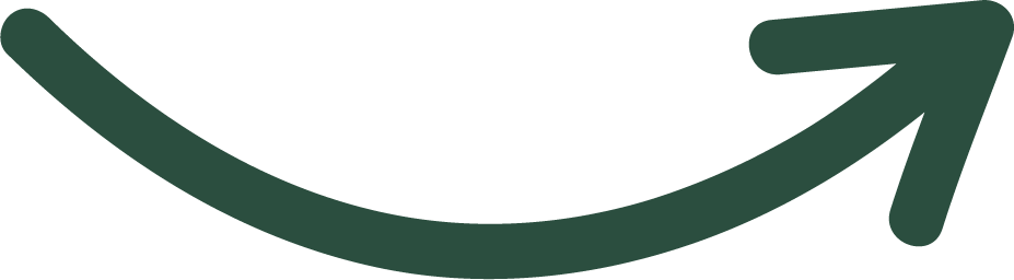 Decorative arrow icon