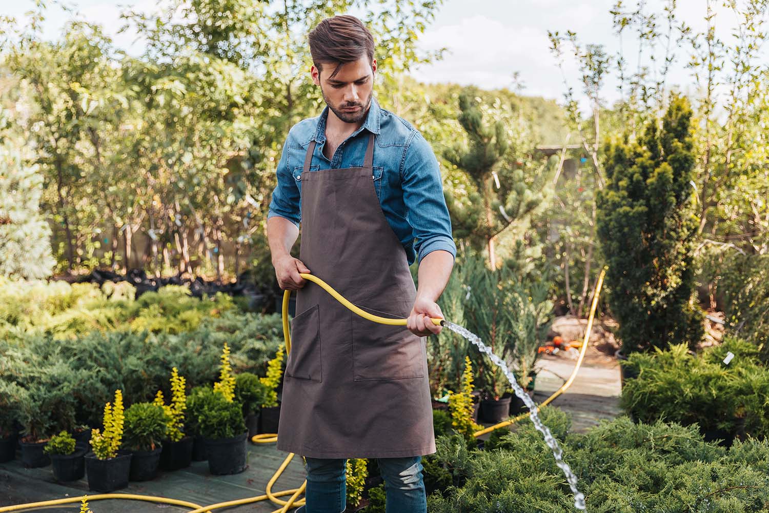 Gardener watering plants during routine maintenance