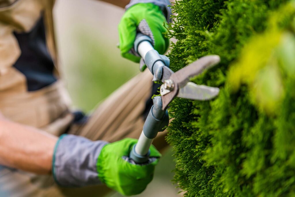 Leaf Clearance Services in Crail: Seasonal Garden Protection Guide 2026