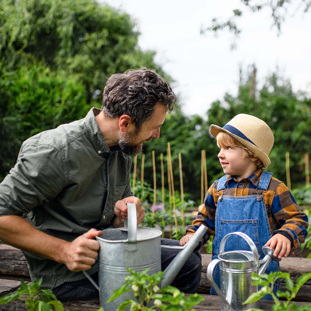 garden maintenance contracts