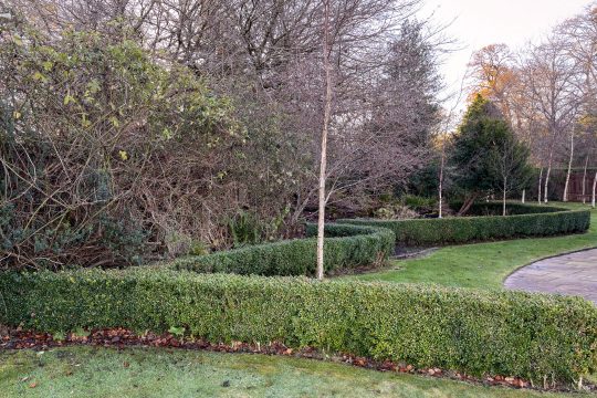 garden maintenance contracts